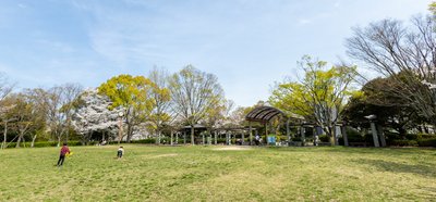 🏞️ 왕인공원 (와니코엔) 이미지 2